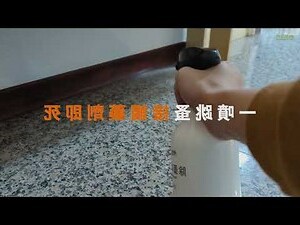 跳蚤 精油